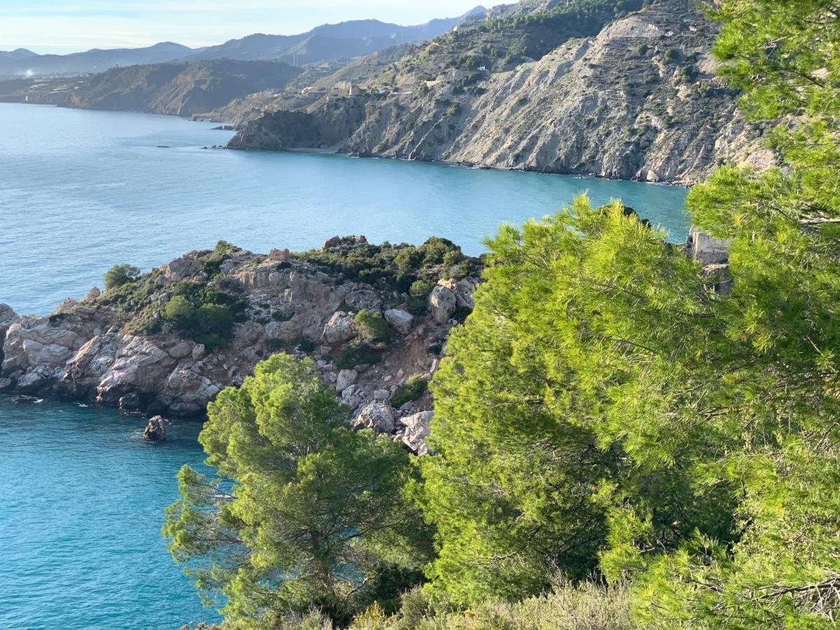Villa Andrea Nerja Exterior photo